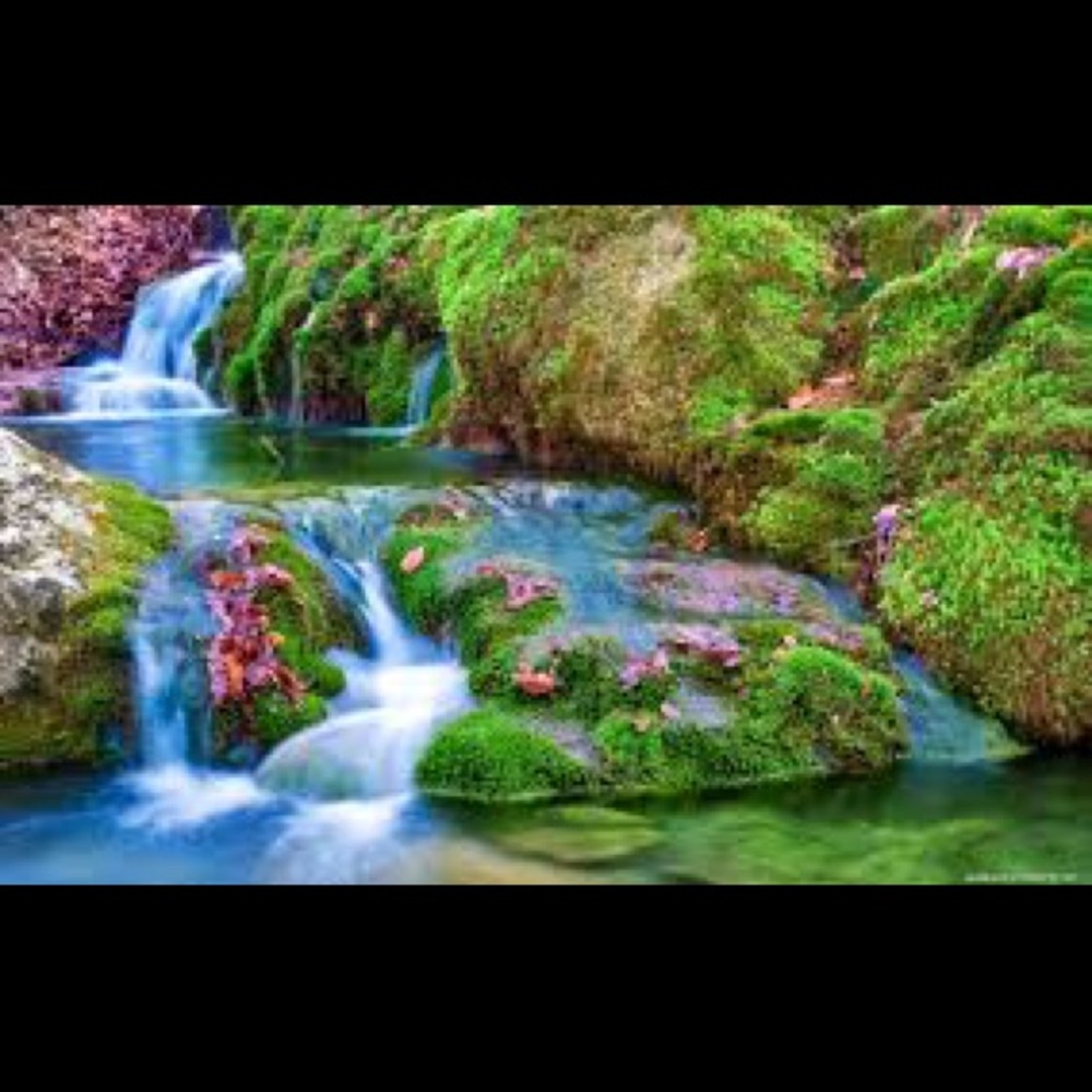 Meet your Posher, Gracie